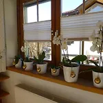 Haus Rosi Vakantiehuis *
