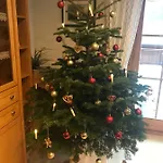 Haus Rosi Casa vacanze *