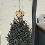 Haus Rosi * Uttendorf