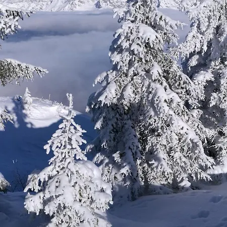 Haus Rosi * Uttendorf