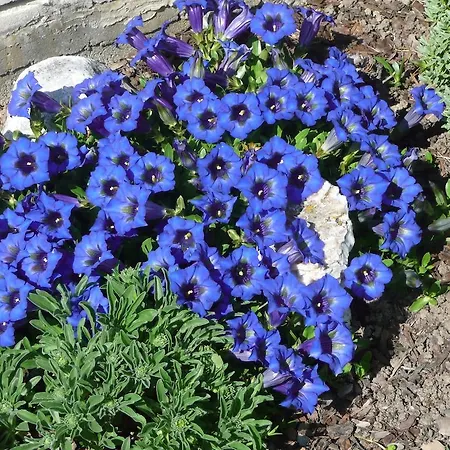 Haus Rosi Dom wakacyjny Uttendorf