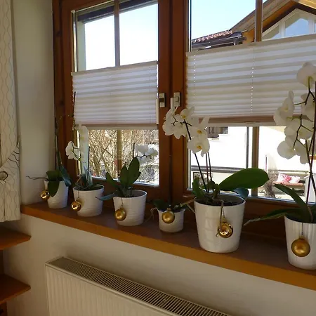 Haus Rosi Casa de Férias *