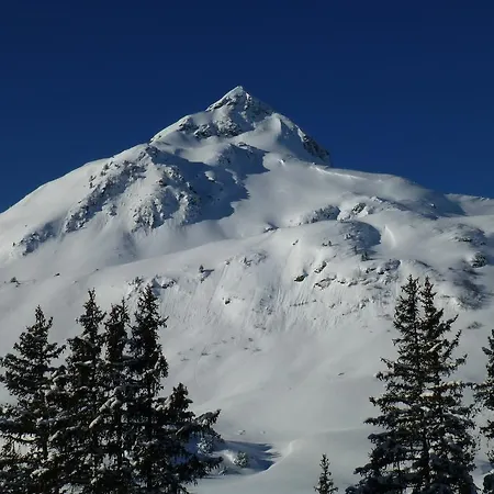 Ferienhaus Haus Rosi Uttendorf