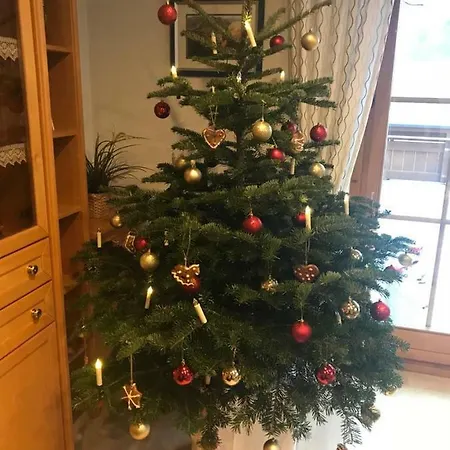 Haus Rosi בית נופש *