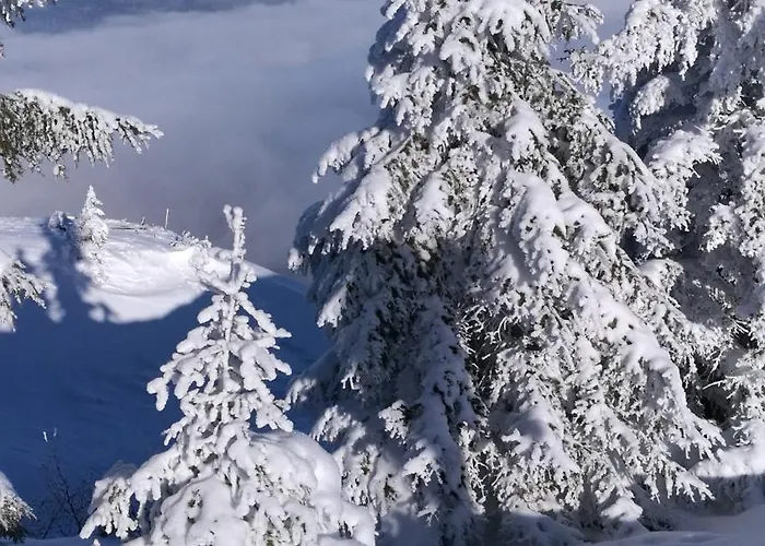 Haus Rosi * Uttendorf