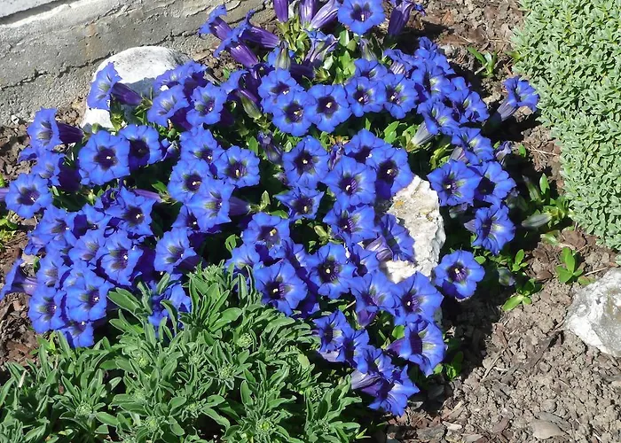 Haus Rosi Σπίτι διακοπών Uttendorf